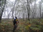 DSC01028.jpg