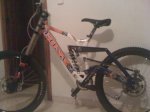 fotos cachorros 058.jpg