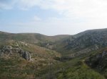 IMG_3465.JPG