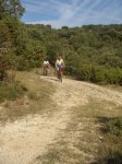 DSCN3589.jpg