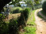 IMG_1413.JPG