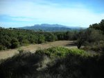 DSCN2629.jpg