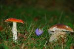 DSC_0327.JPG