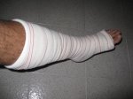 IMG_0062.JPG