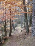 DSCN6336.jpg