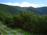 PICT0244.jpg