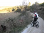 BTT (22).jpg