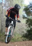 DSC08332.jpg