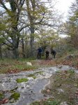 aralar 14-11-09 00005.JPG