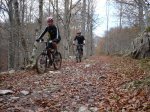 aralar 14-11-09 00016.JPG