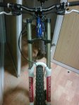 IMG00115-20091115-1836.jpg