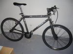orbea.jpg