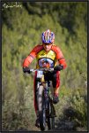 IMG_6619 copia.jpg