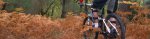 100_5505A.JPG