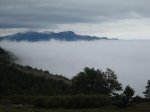 IMG_2425.jpg