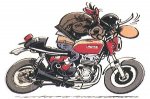 JoeBar_edi_Nockenfell_CB750.jpg