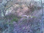Nueva ruta 13-12-2009 026.jpg