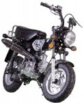 Monkey Bike.jpg