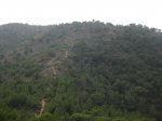IMG_1488.jpg