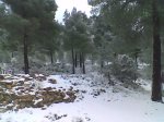 Imagen018.jpg