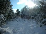 Image_009.JPG