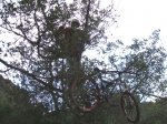 DSCF1625.JPG