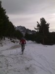 02012010090.jpg