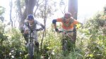 DSC00568.jpg