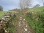 SDC10394.jpg