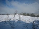 IMG_0219 (Large).JPG