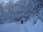 DSC05009.jpg