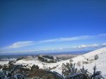 IMG_0175.jpg