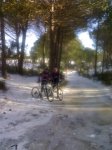 10012010470.jpg