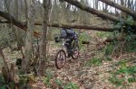DSC05062.jpg