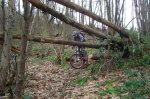 DSC05061.jpg