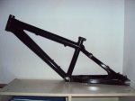 DSC01420.JPG