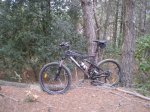 DSCN1523.jpg