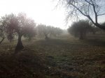 21012010227.jpg