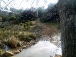21012010234.jpg