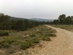 23012010464.jpg