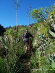 Matanza en Valsendero_003.JPG