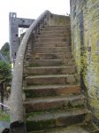 DSC05149.jpg