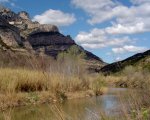 rodeo_pastoril_27.03.05_027.jpg