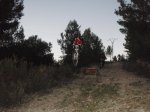 P1300009.jpg