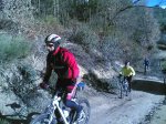 Bonita helada 31-01-2010 017.jpg