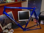 pinarello.jpg