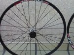 IMG027.jpg