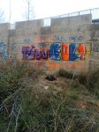 Imagen0187.jpg