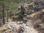 barranca 019 (Small).jpg