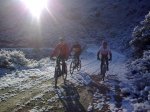 14022010_003.jpg